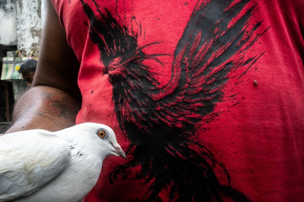 Photograph by Rajdeep Das