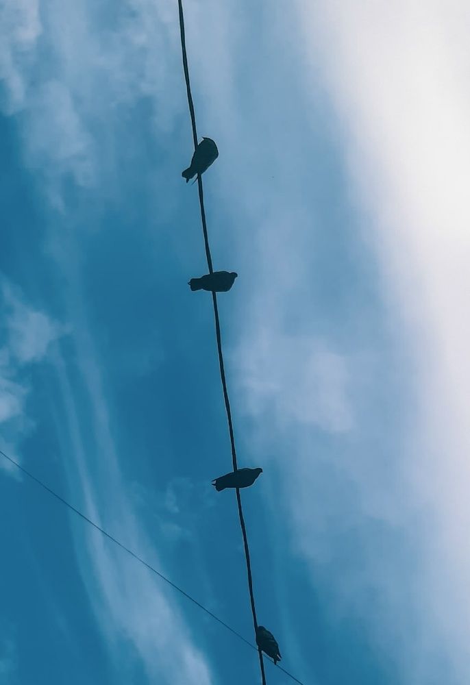 Фотография автора Valerya Vasileva