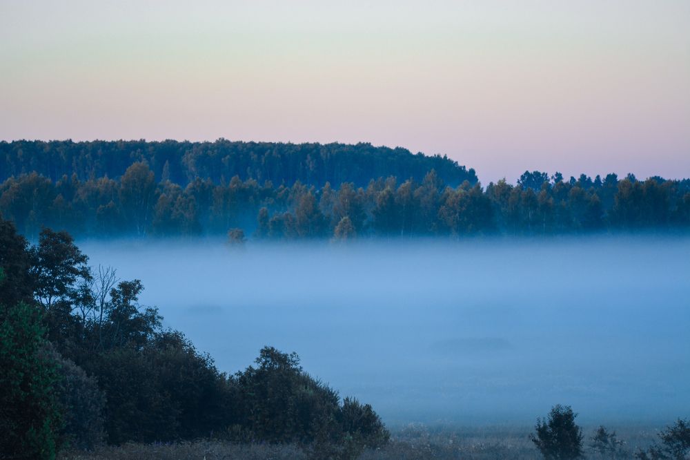 Photograph by Анастасия Гурова
