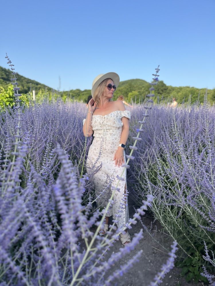 Поле Шалфея