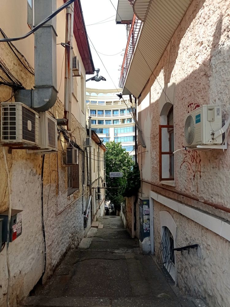 Photograph by Валентина Рябуха