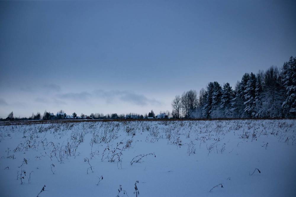Фотография автора Станислава Гордеева