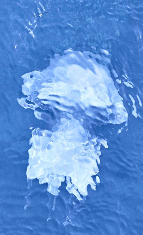 Photograph by Игорь Зиновьев