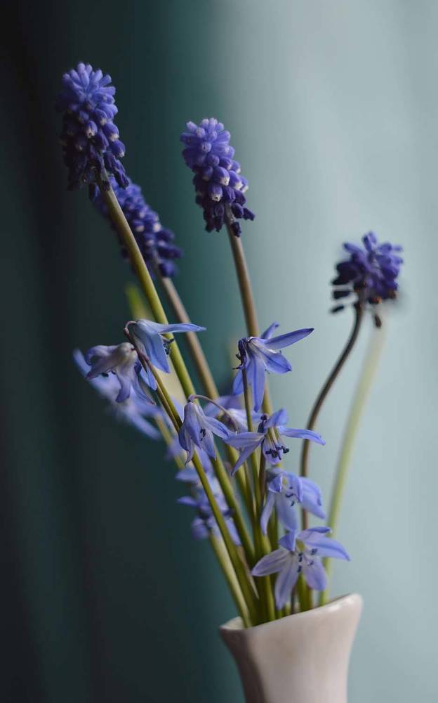 Photograph by Ксения