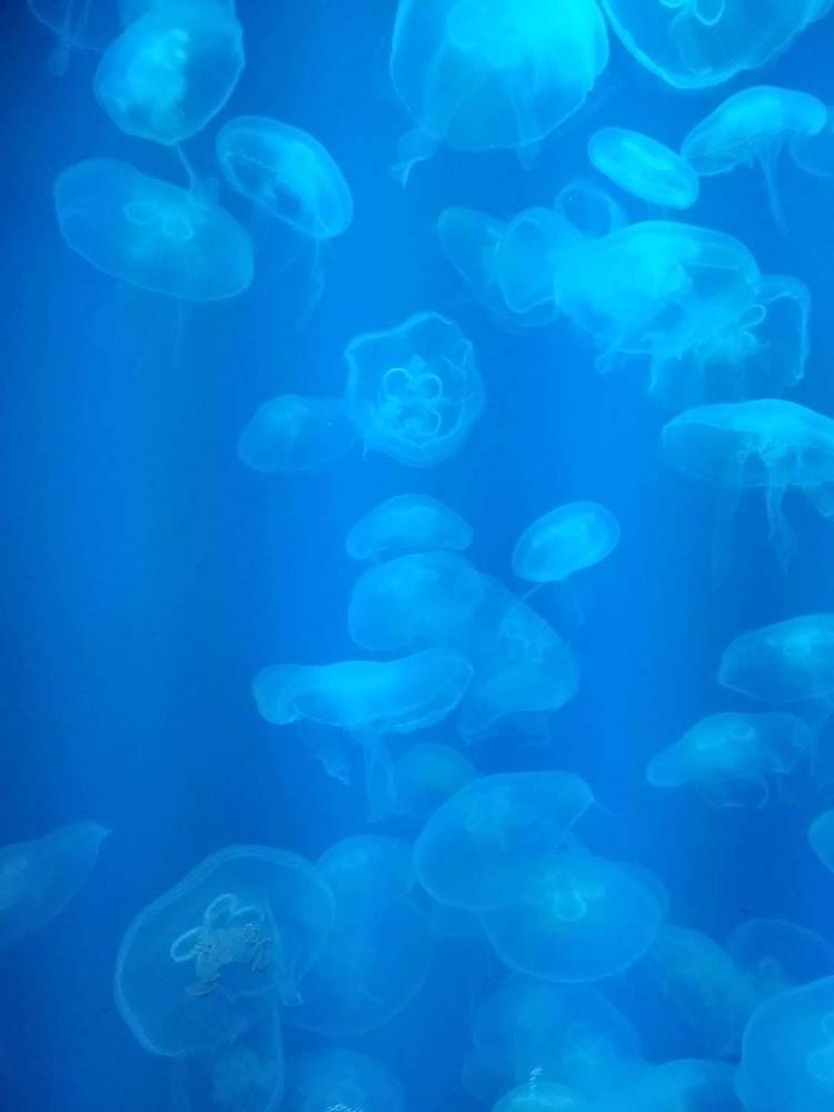 Photograph by Ксения