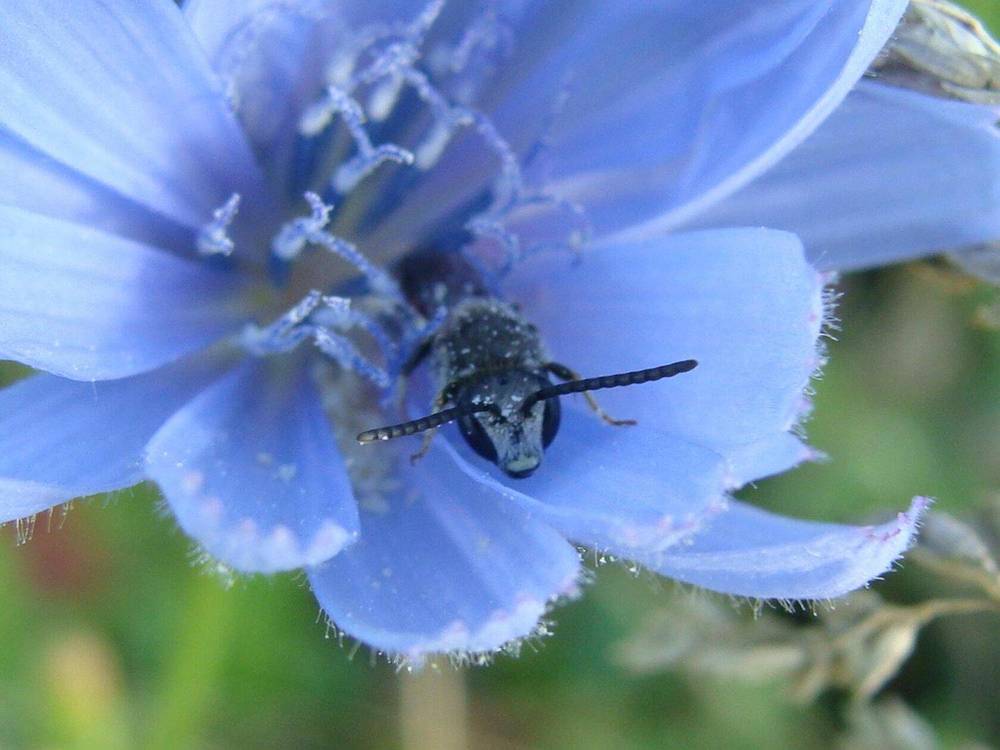 Фотография автора Павел Попов