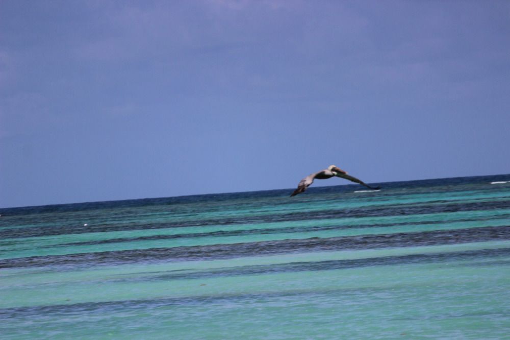 Photograph by Екатерина Александровна