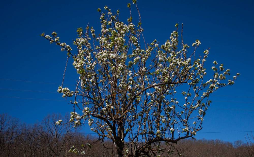 Photograph by Елена Казаренко