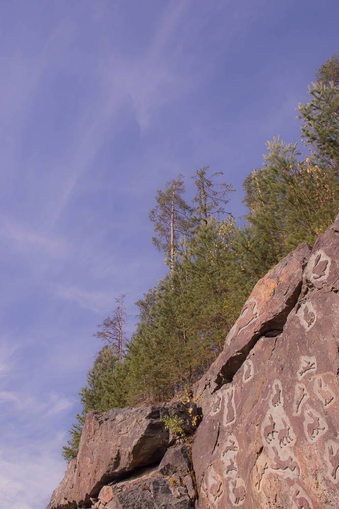 Photograph by Бурикова Екатерина