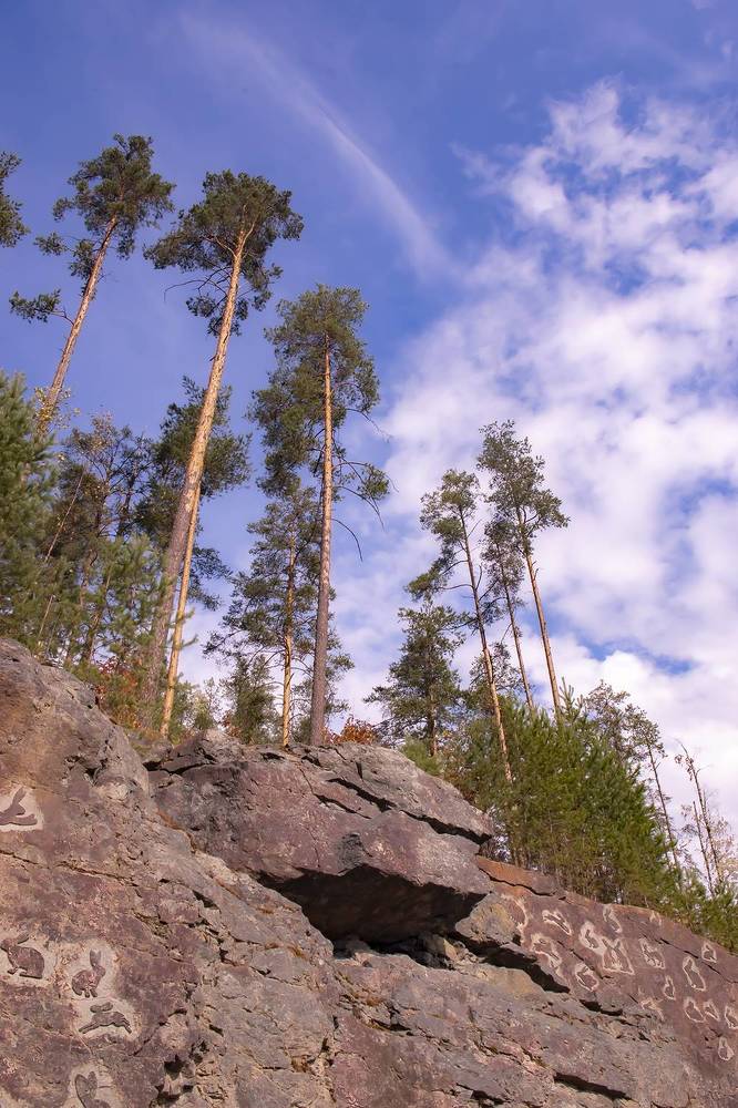 Петрозаводске граффити вдоль дороги.
