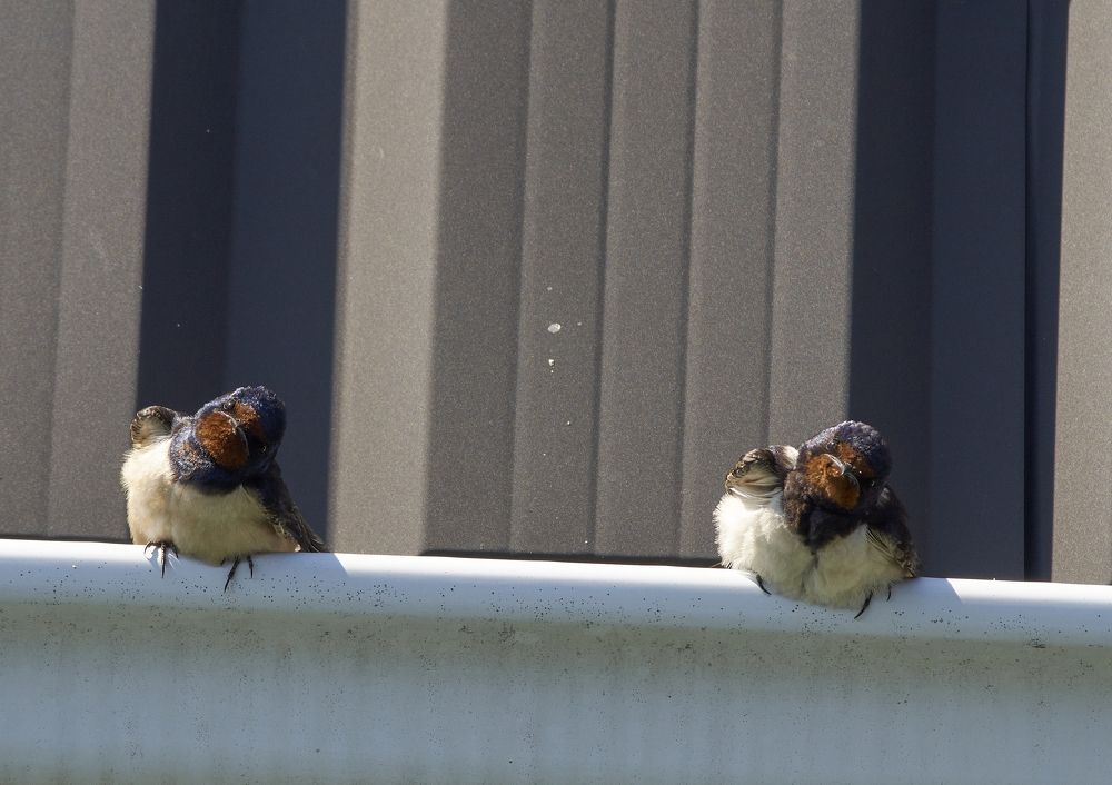 Photograph by Игорь Зиновьев