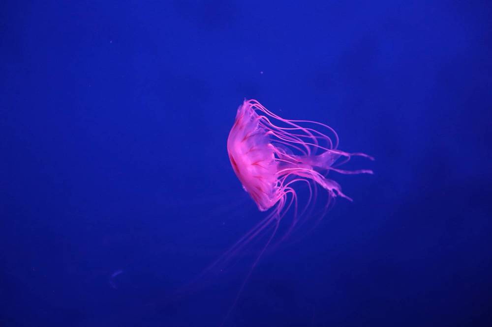 Photograph by Nargiza Karimova