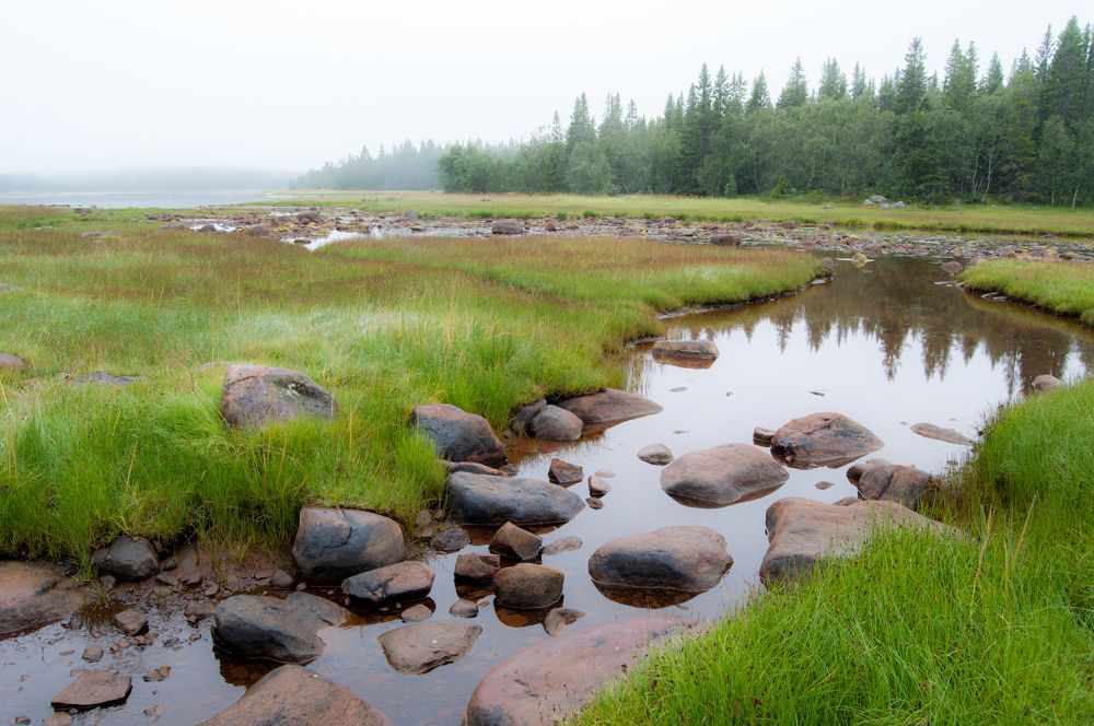 Photograph by Новиков Владимир