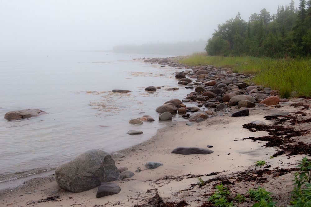 Photograph by Новиков Владимир