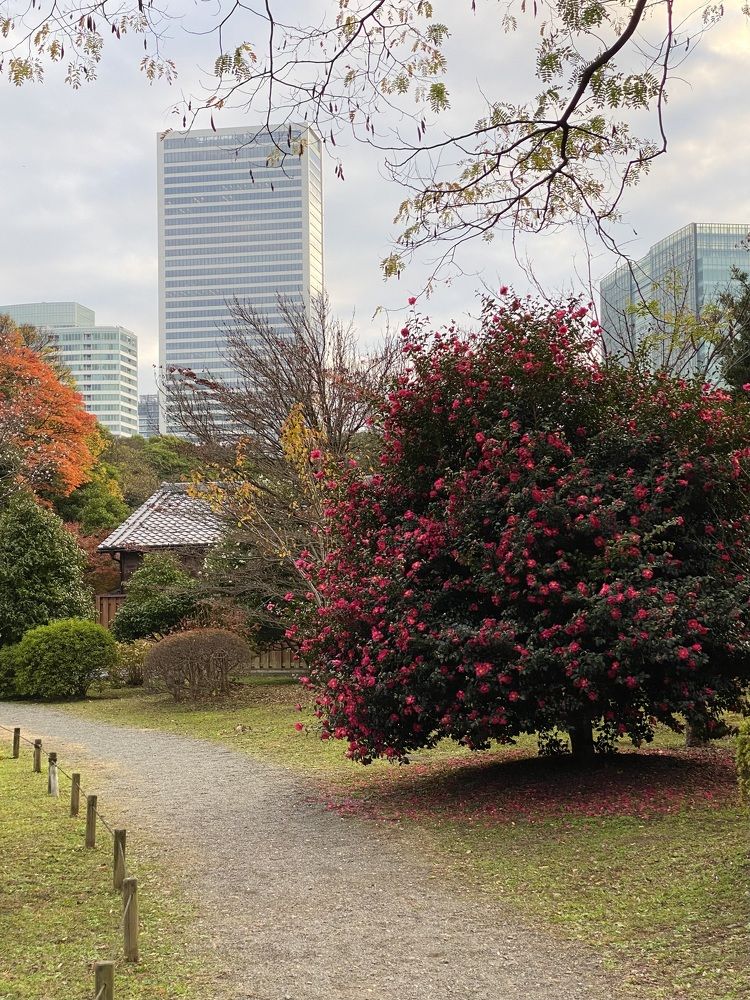 Фотография автора Бакалова Ирина