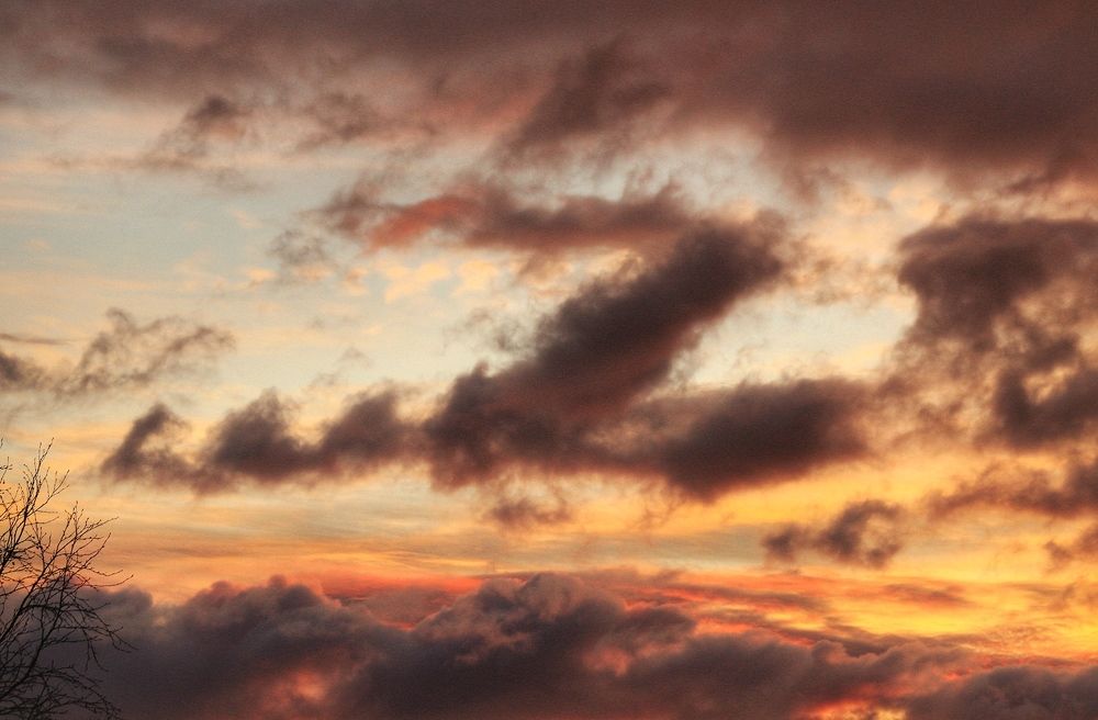 Фотография автора Светлана Терехова