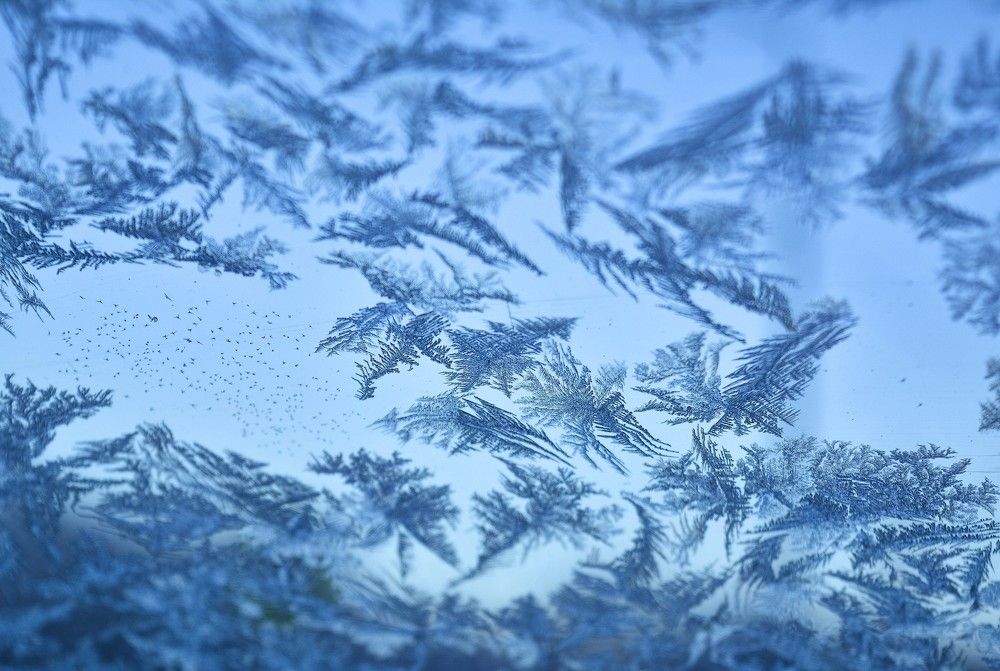 Photograph by Tanzilya Gabidullina