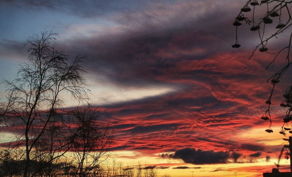 Фотография автора Светлана Терехова