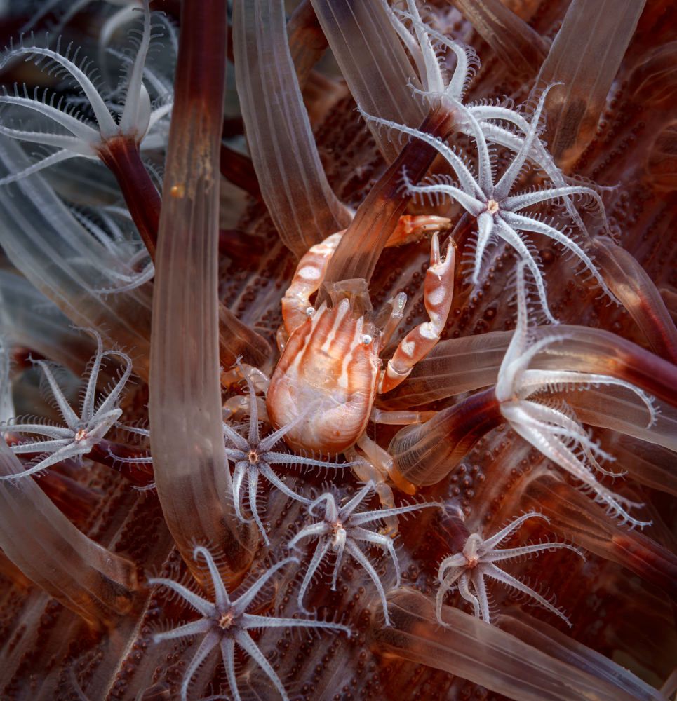 Photograph by Савин Андрей