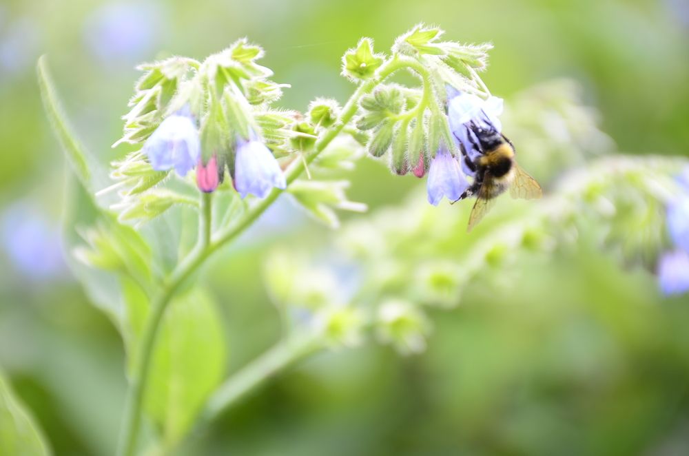 Фотография автора Алексей Власов