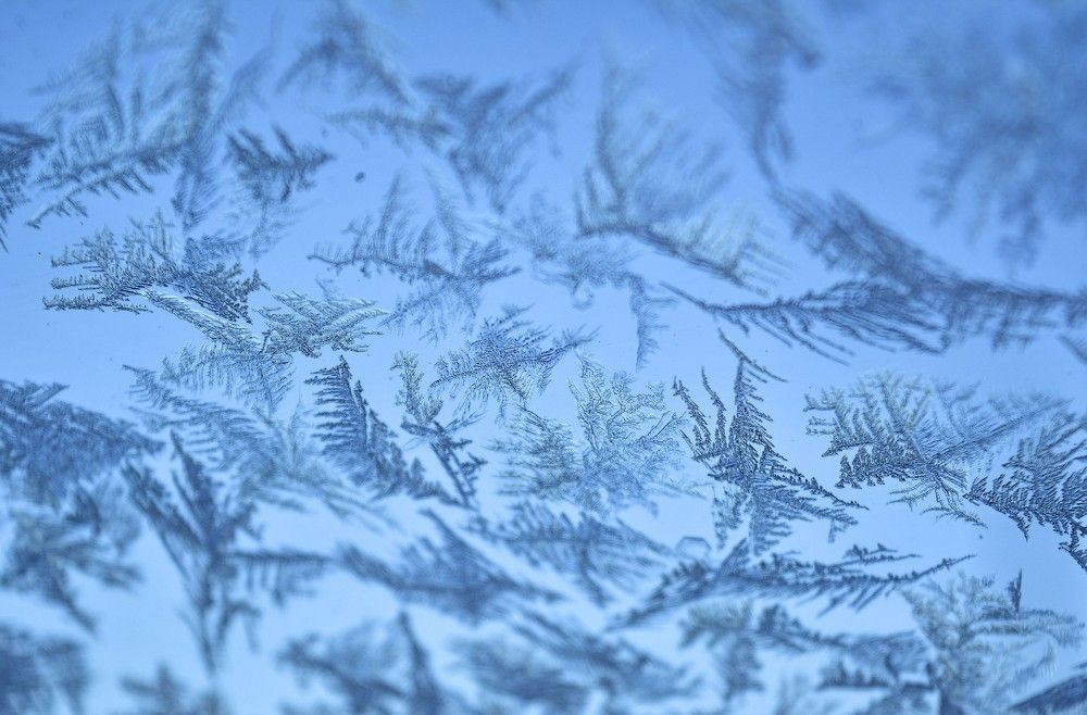 Photograph by Tanzilya Gabidullina