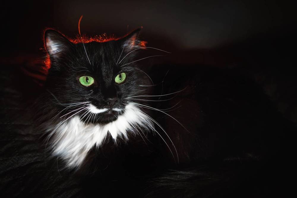 Photograph by Анна Орманжи