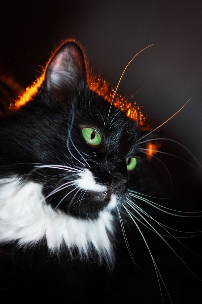 Photograph by Анна Орманжи