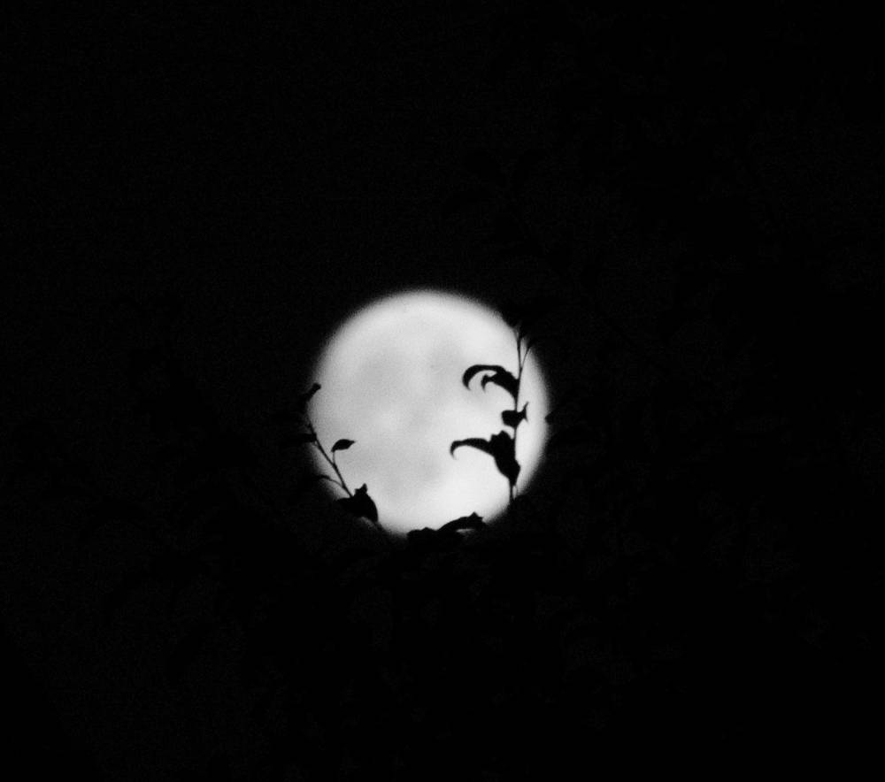 Photograph by Сергей Симаков