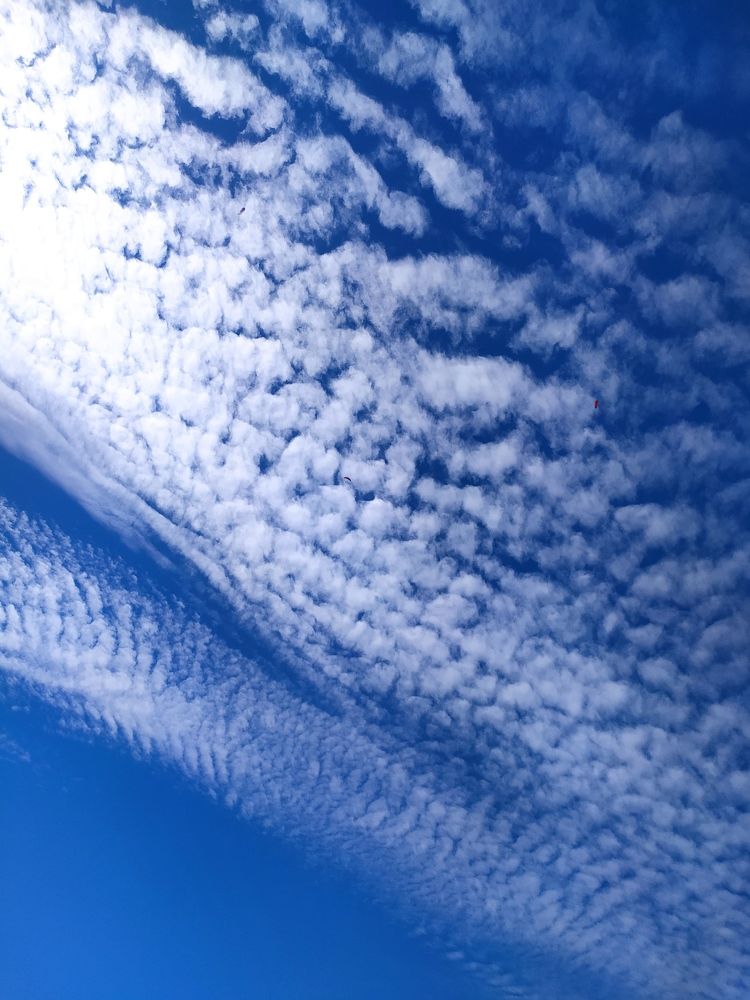 Фотография автора Елена Александрова