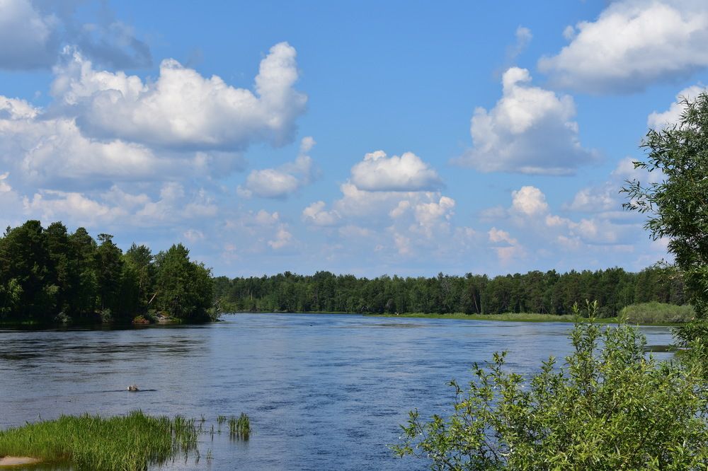 Река Пим летом