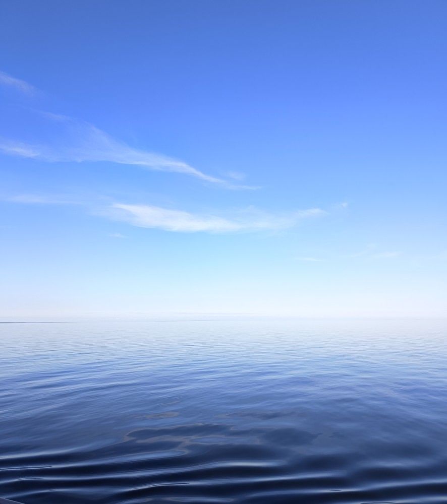 Фотография автора Елена Александрова