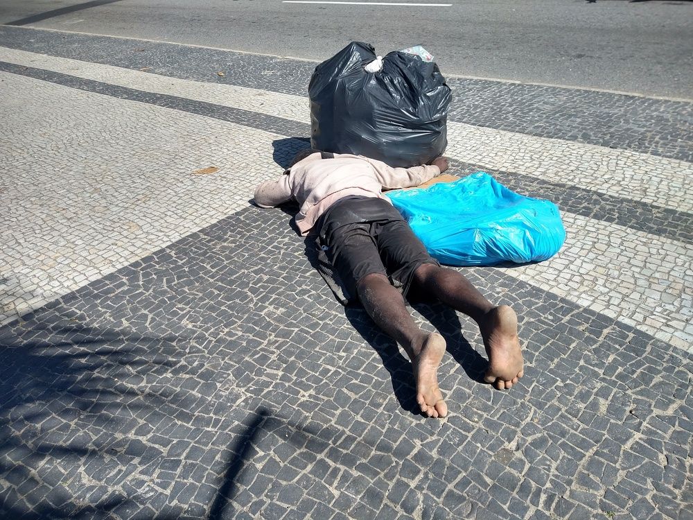 Photo #11313652