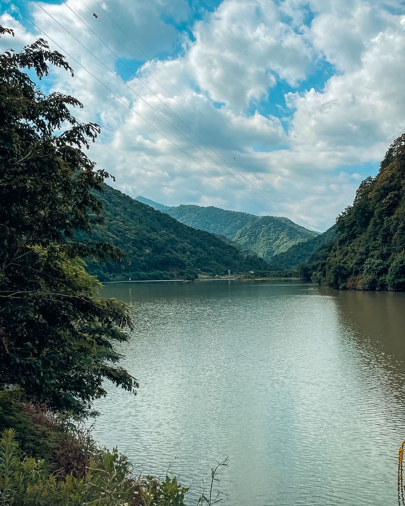 Фотография автора Ольга Каминская