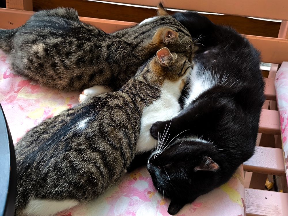 Photograph by Анастасия Толмачева