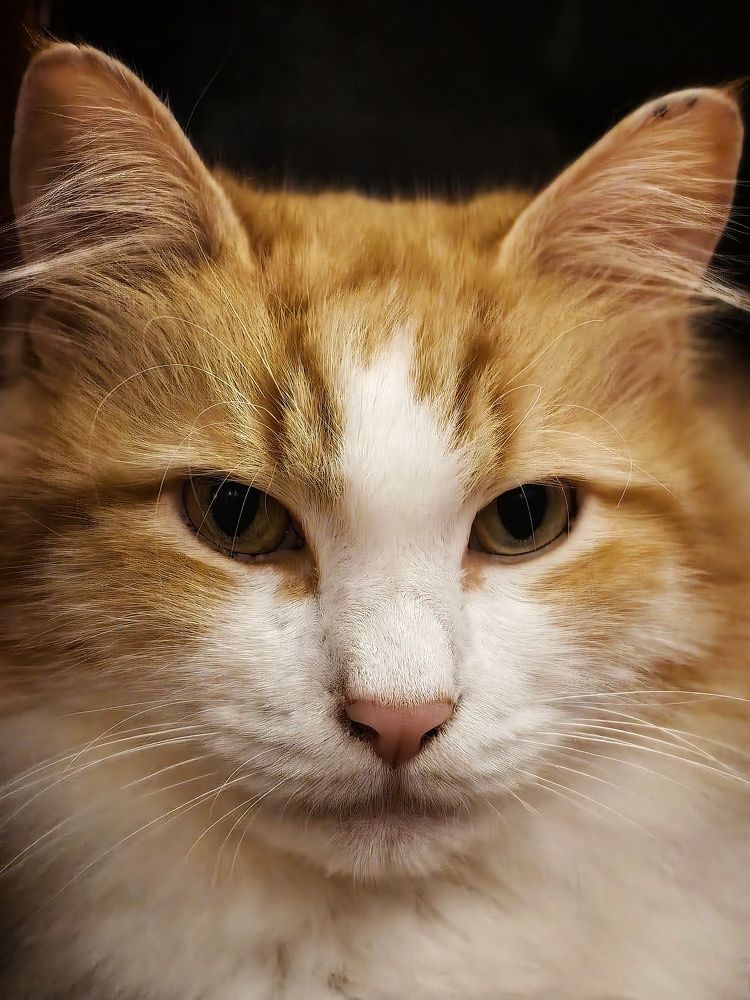 Photograph by Сергей Зайцев