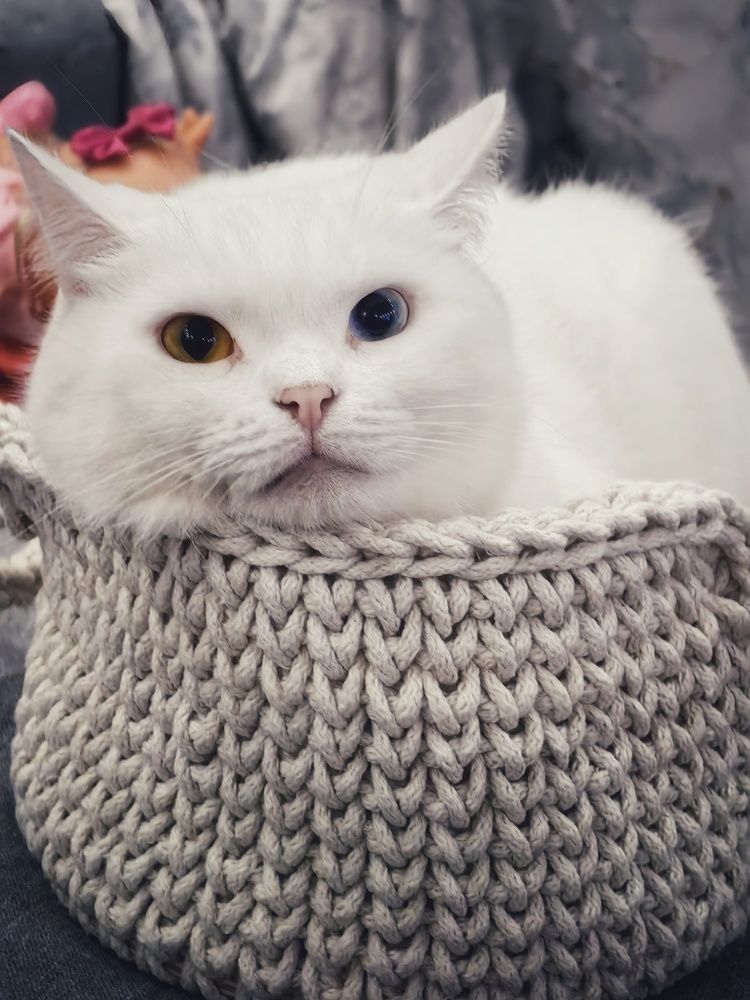 Photograph by Сергей Зайцев