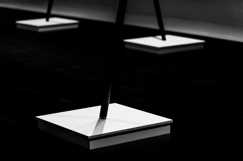 Белые на чёрном