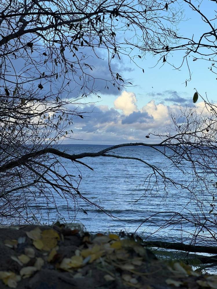 Photograph by Ксения Килина