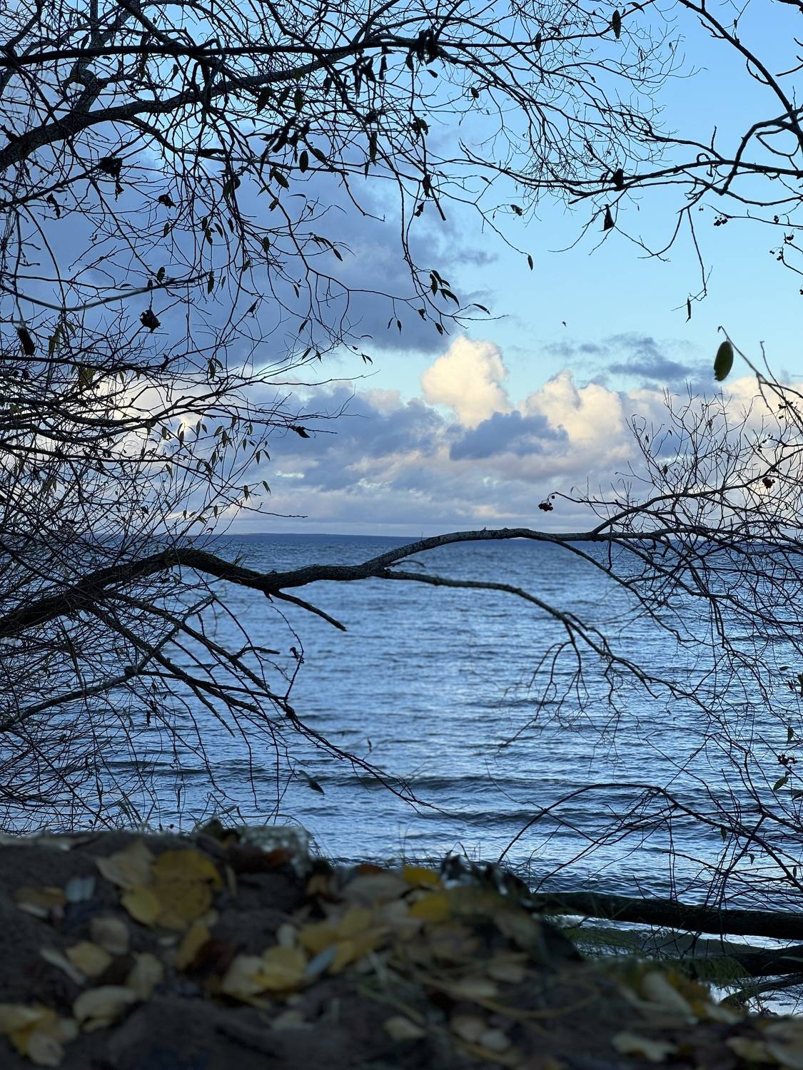Photo #11313699