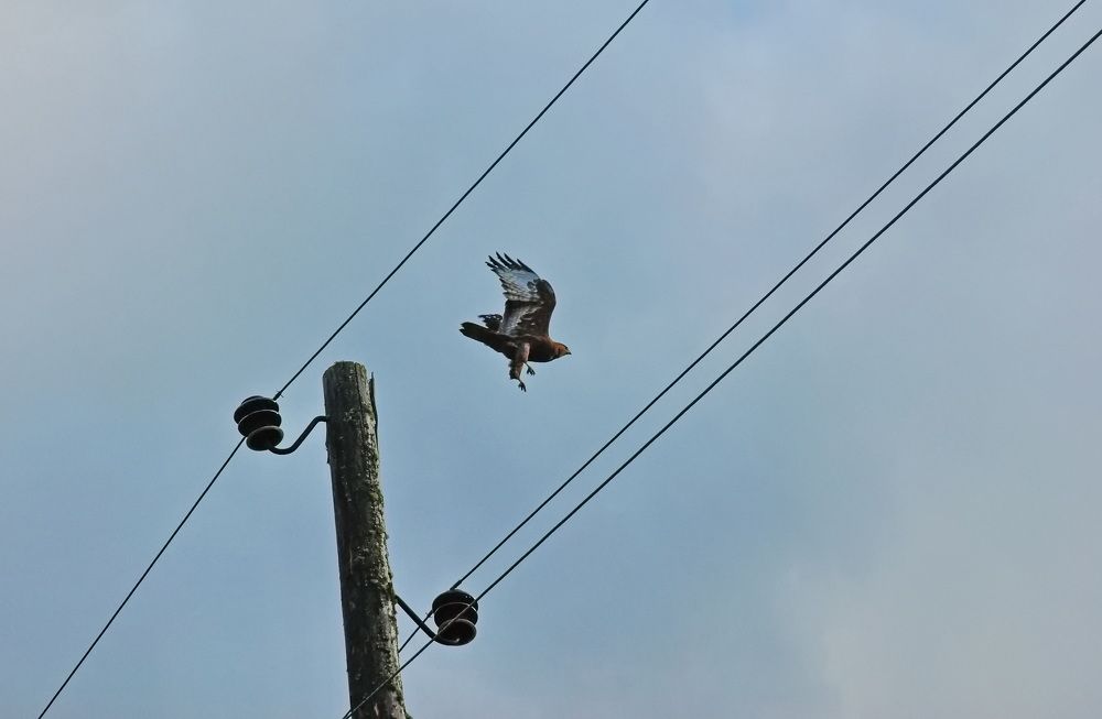 Фотография автора Сергей Тимофеев