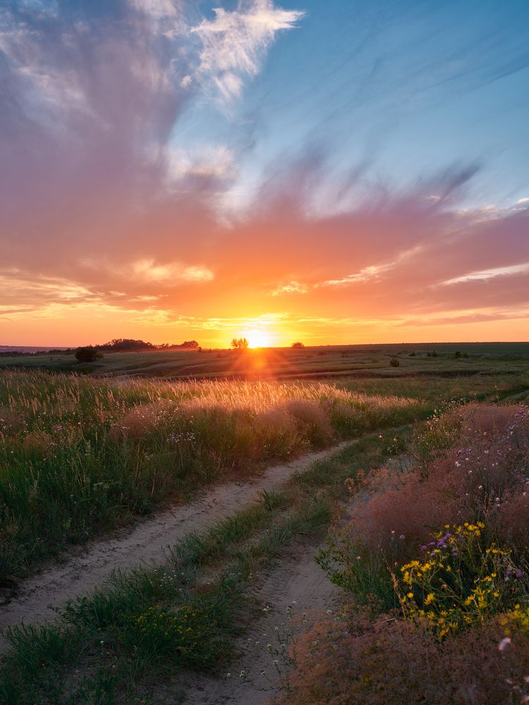 Photograph by Дыбов Дмитрий