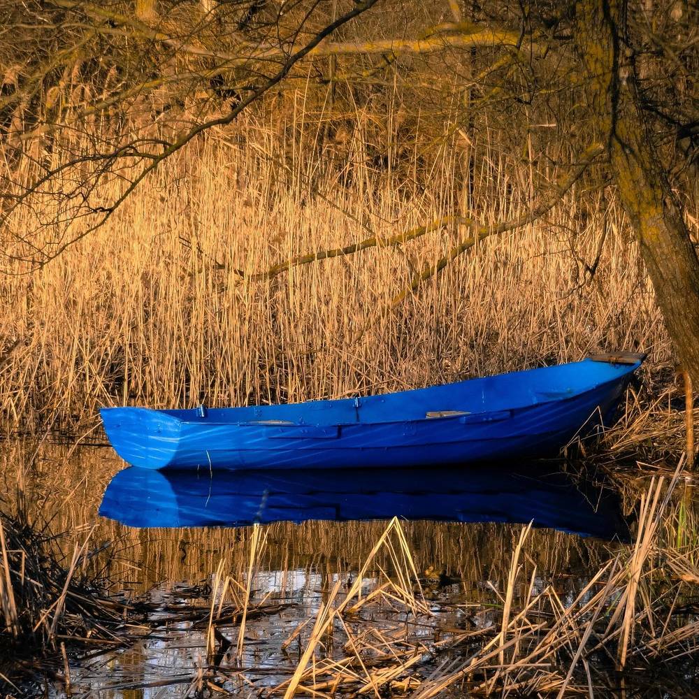 Фотография автора Геннадий Ломеко