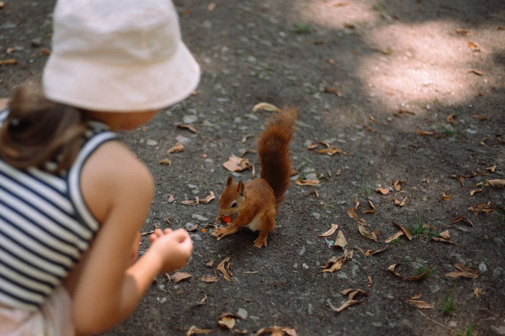 Photograph by Валерия Ефименко