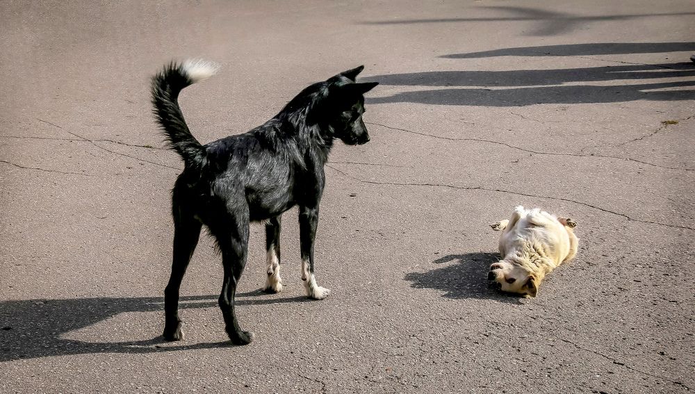 Photograph by Вячеслав Лычков