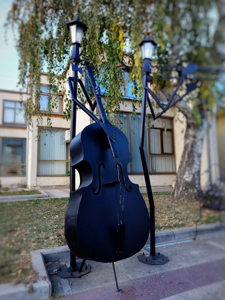 Фотография автора JELENA VASIC