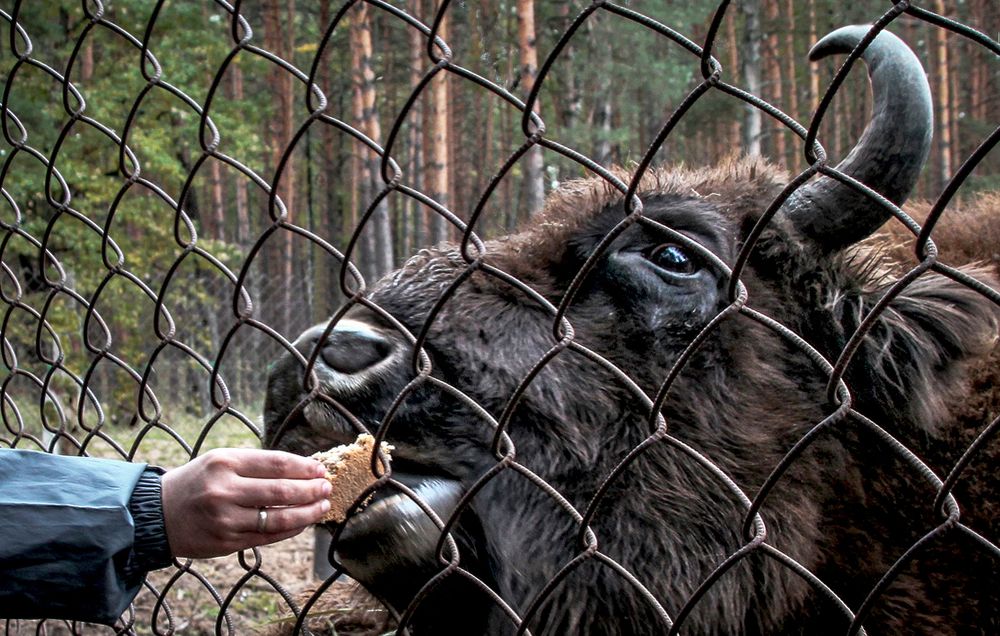 Photograph by Вячеслав Лычков