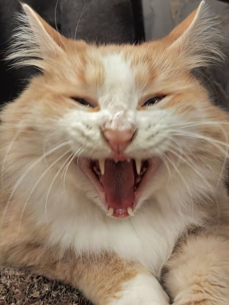 Photograph by Сергей Зайцев