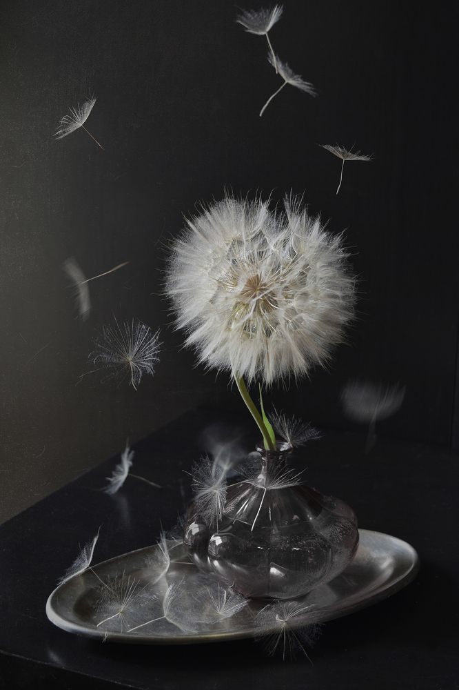 Photograph by Шипунова Ирина