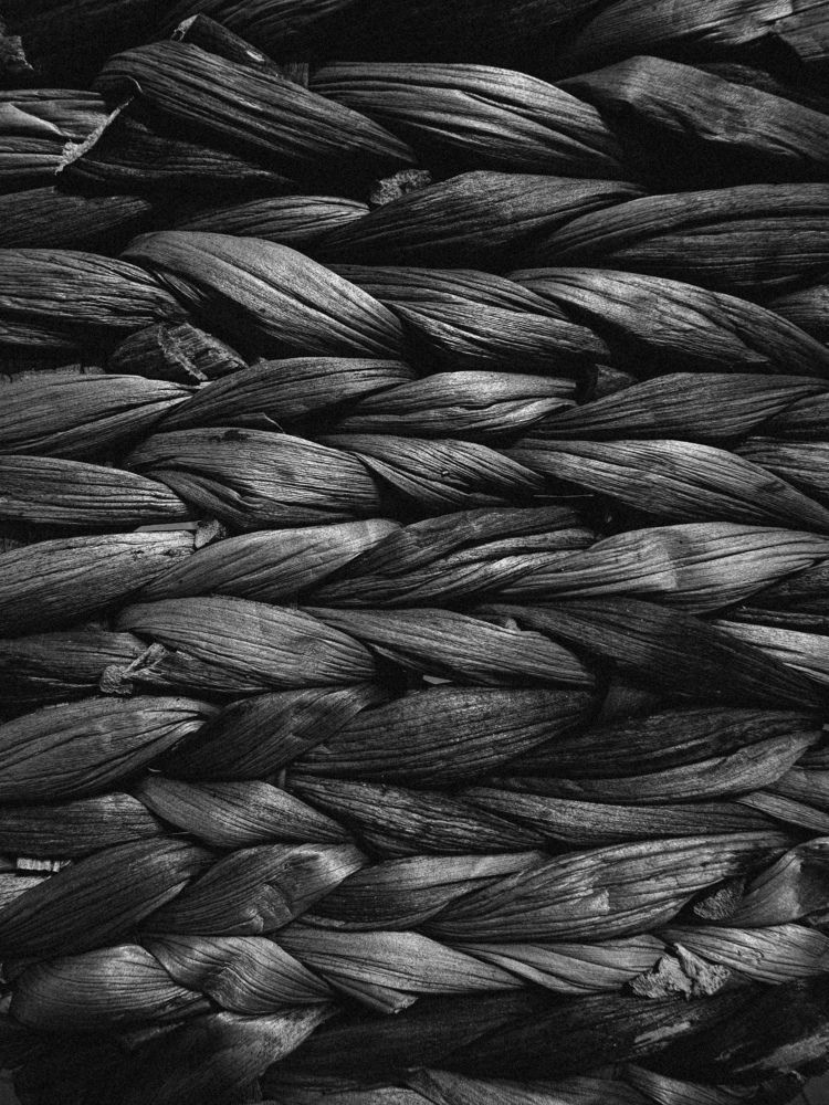 Photograph by Alina Pyanova