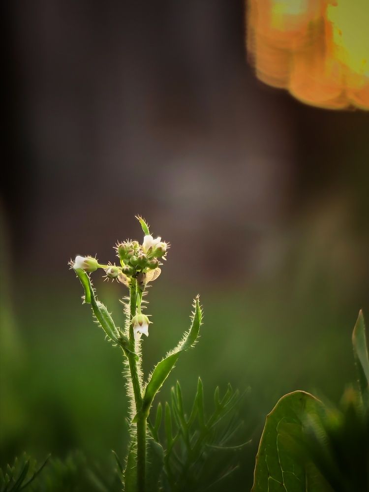 Photograph by Сергей Зайцев